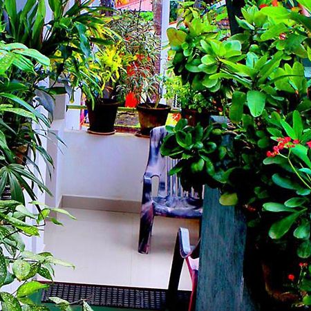 Safari Horizon Udawalawe Bed & Breakfast Ngoại thất bức ảnh