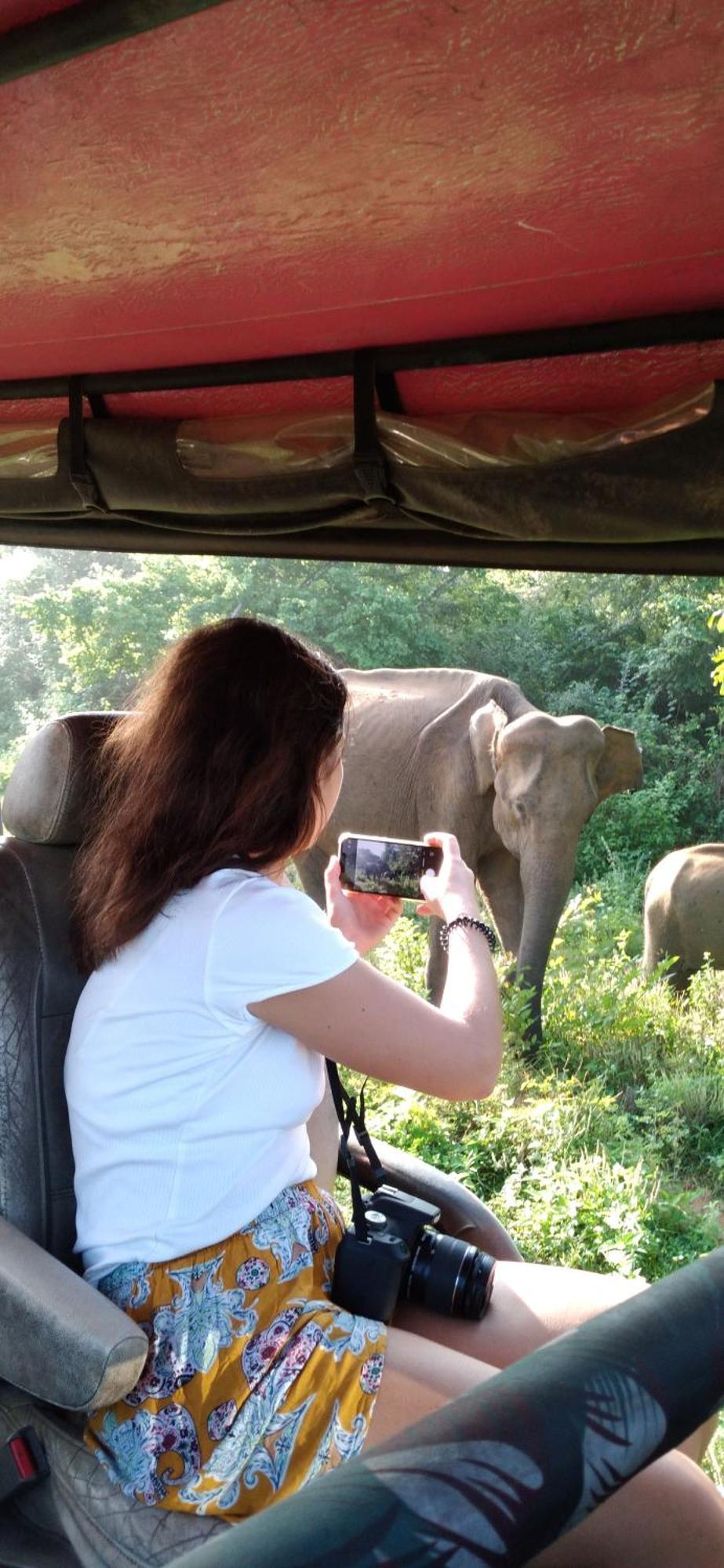 Safari Horizon Udawalawe Bed & Breakfast Ngoại thất bức ảnh
