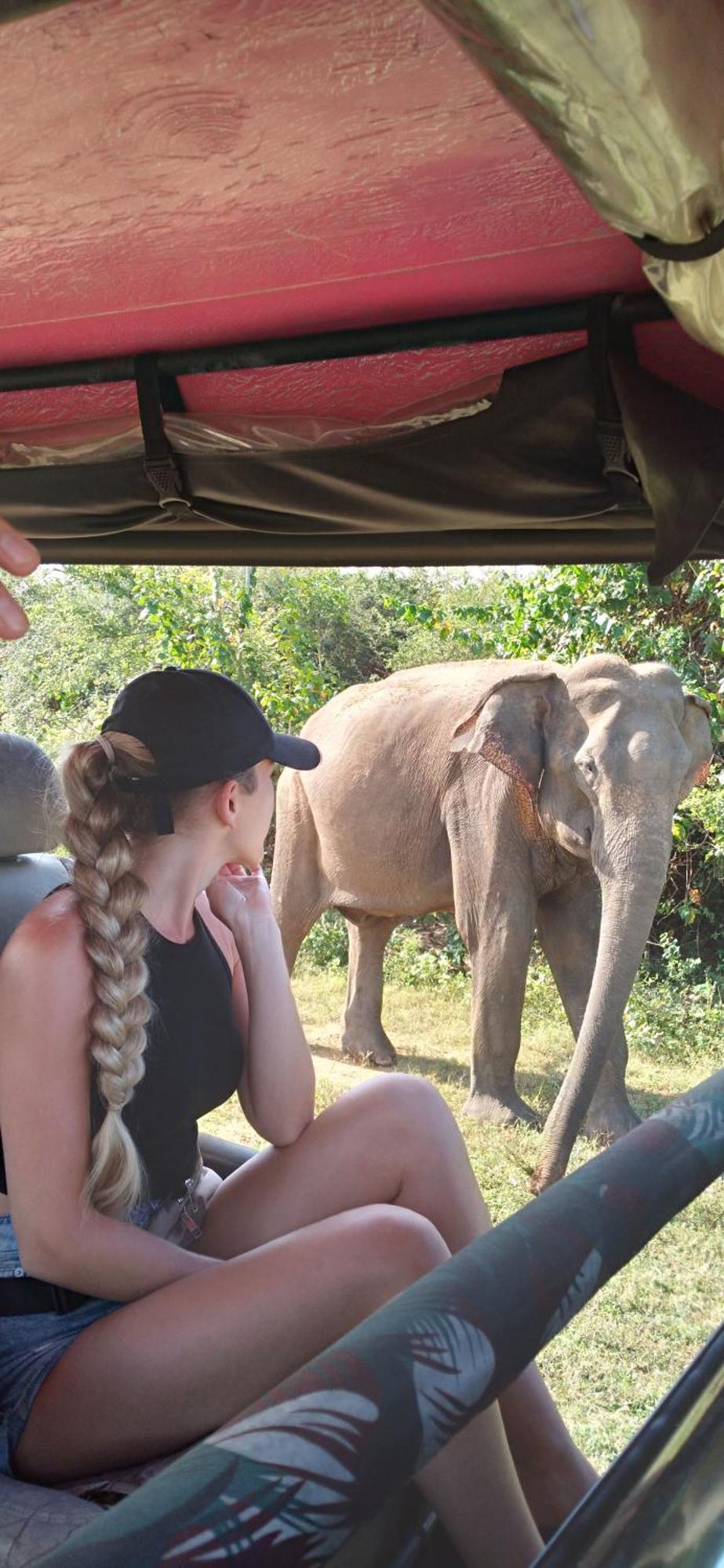 Safari Horizon Udawalawe Bed & Breakfast Ngoại thất bức ảnh