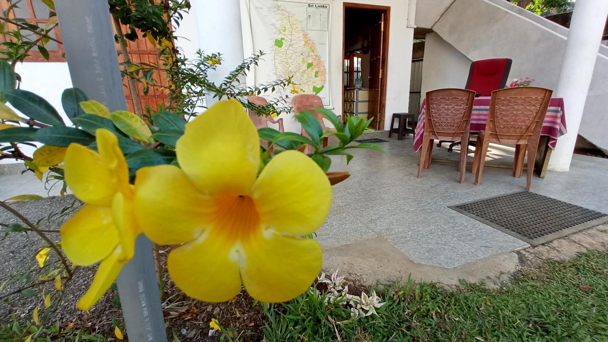 Safari Horizon Udawalawe Bed & Breakfast Ngoại thất bức ảnh