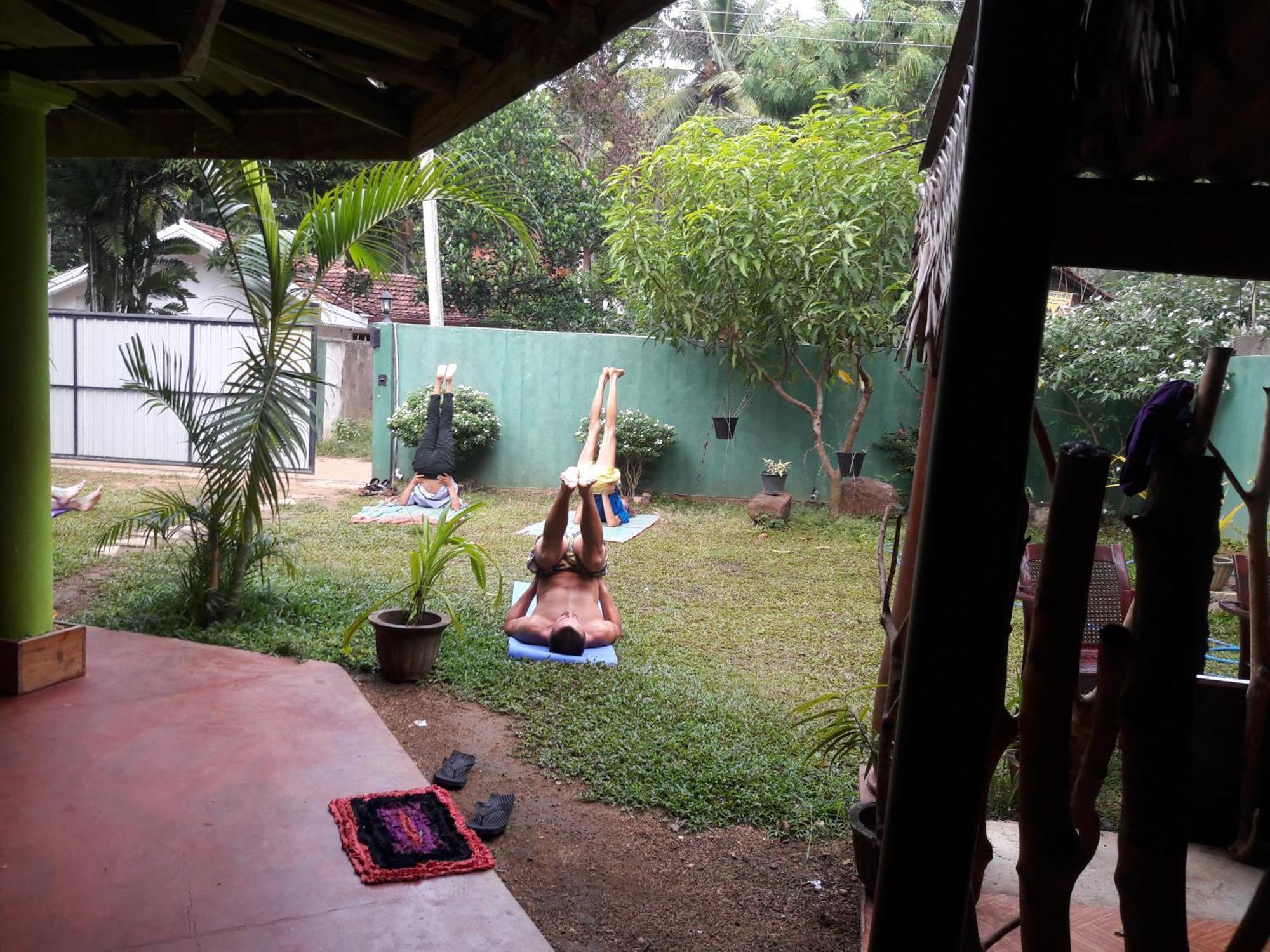 Safari Horizon Udawalawe Bed & Breakfast Ngoại thất bức ảnh